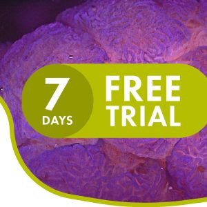7 days Free trial course What you need to know